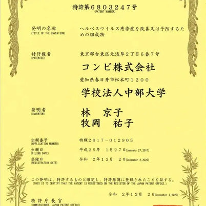 REIKA LAB Weight Balance Support – Black Ginger Extract Sachets (2 Sticks Daily) | Made in Japan - TokyoSupplements.com.au